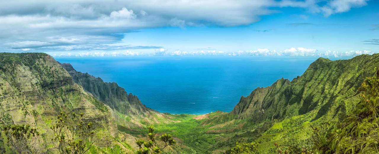 Photographer: myself, Gh5046
A stitched panorama of the en:Kalalau Valley taken 2007/08/30 from the Na Pali Kona Forest Reserve Pihea Trail in the en:Koke'e State Park in Hawaii.
The photo was stitched from several other photos, cropped and resized, otherwise it is in its original state.