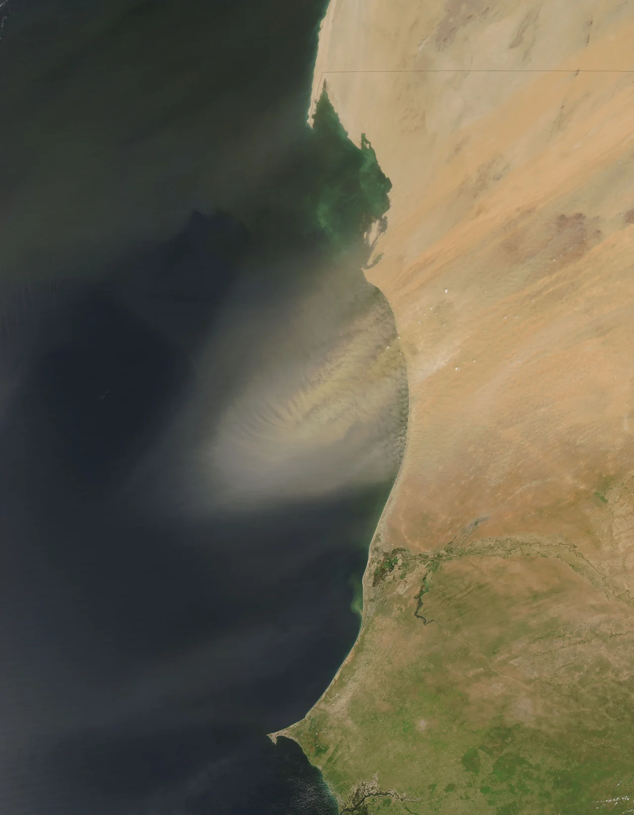 In this image, the dust varies in colour from nearly white to medium tan. The dust plume is easier to see over the dark background of the ocean, but the plume stretches across the land surface to the east, as well. The dust plume’s structure is clearest along the coastline, where relatively clear air pockets separate distinct puffs of dust. West of that, individual pillows of dust push together to form a more homogeneous plume. Near its south-west tip, the plume takes on yet another shape, with stripes of pale dust fanning out toward the north-west. Occasional tiny white clouds dot the sky overhead, but skies are otherwise clear.