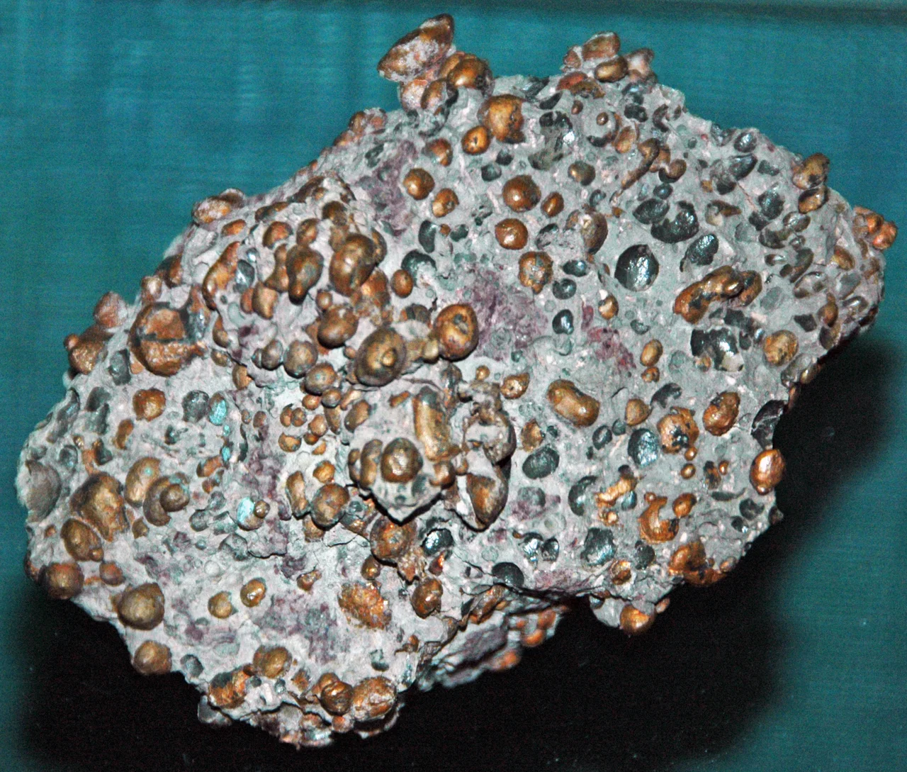 Cupriferous amygdaloidal basalt ("shot copper") from the Precambrian of Michigan, USA. (public display, Seaman Mineral Museum, Michigan Technological University, Houghton, Michigan, USA)
A mineral is a naturally-occurring, solid, inorganic, crystalline substrance having a fairly definite chemical composition and having fairly definite physical properties. At its simplest, a mineral is a naturally-occurring solid chemical. Currently, there are over 4900 named and described minerals - about 200 of them are common and about 20 of them are very common. Mineral classification is based on anion chemistry. Major categories of minerals are: elements, sulfides, oxides, halides, carbonates, sulfates, phosphates, and silicates.
Elements are fundamental substances of matter - matter that is composed of the same types of atoms. At present, 118 elements are known (four of them are still unnamed). Of these, 98 occur naturally on Earth (hydrogen to californium). Most of these occur in rocks & minerals, although some occur in very small, trace amounts. Only some elements occur in their native elemental state as minerals.
To find a native element in nature, it must be relatively non-reactive and there must be some concentration process. Metallic, semimetallic (metalloid), and nonmetallic elements are known in their native state as minerals.
Copper is the only metallic element that has a "reddish" color - it’s actually a metallic orange color. Most metallic elements, apart from gold & copper, are silvery-gray colored. Copper tends to form sharp-edged, irregular, twisted masses of moderately high density. It is moderately soft, but is extremely difficult to break. It has no cleavage and has a distinctive hackly fracture.
The native copper-bearing rock shown above comes from northern Michigan's Portage Lake Volcanic Series, an extremely thick, Precambrian-aged, flood-basalt deposit that fills up an ancient continental rift valley. This rift valley, analogous to the present-day East African Rift Valley, extends from Kansas to Minnesota to the Lake Superior area to southern Michigan. Unlike many flood basalts (e.g., Deccan Traps, Siberian Traps, Columbia River), the Portage Lake only filled up the rift valley. The unit is exposed throughout Michigan’s Keweenaw Peninsula, in the vicinity of the towns of Houghton & Hancock.
The Portage Lake succession thickens northward through the Keweenaw, up to >5.5 km worth of section in places. The dominant rock type is basalt - vesicular basalts, for the most part. Most of the original vesicles (gas bubbles) have since been filled up with a wide variety of different minerals. A vesicular basalt that has had its vesicles filled up with minerals is called an amygdaloidal basalt (try saying that five times quickly). Keweenaw amygdaloidal basalts have long had significant economic importance because native copper (Cu) is one of the more common vesicle-filling and fracture-filling minerals. Native silver (Ag) is sometimes closely associated with copper. Copper and silver mineralization occurred during the late Mesoproterozoic, at 1.05 to 1.06 billion years ago. The Portage Lake host rocks are 1.093 to 1.097 billion years old.
This rock is the most amazing cupriferous amygdaloidal basalt sample I've ever seen. The morphology of each copper-filled vesicle is easily seen.
Locality: Wolverine Mine, Kearsarge, Upper Peninsula of Michigan, USA