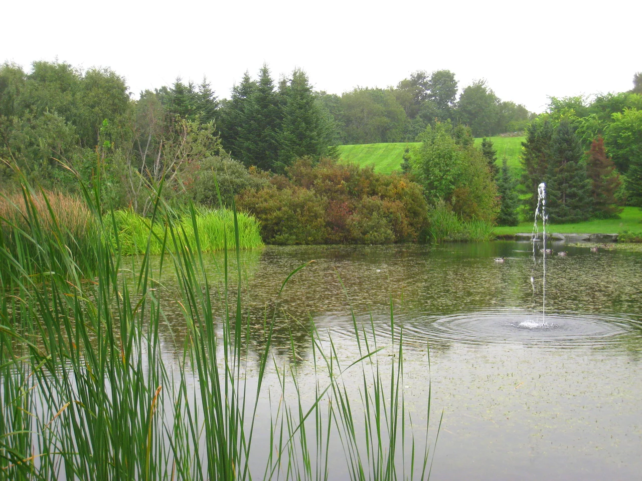 Arboretum at the Ringve Museum, Trondheim, Norway.